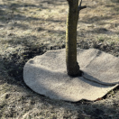Пристовбурові кола з конопель Greenery Land™