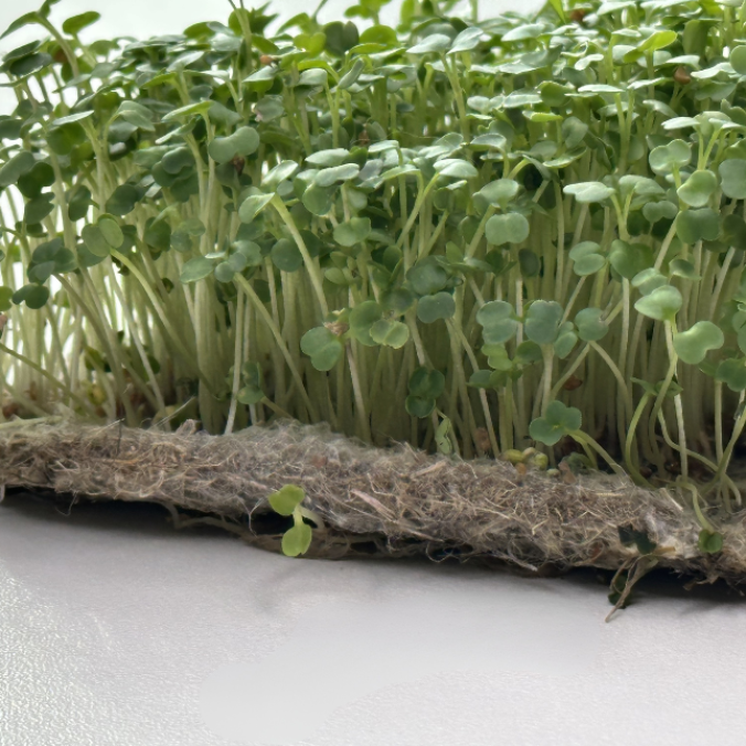 Мати для мікрогріну з конопель Greenery Land™